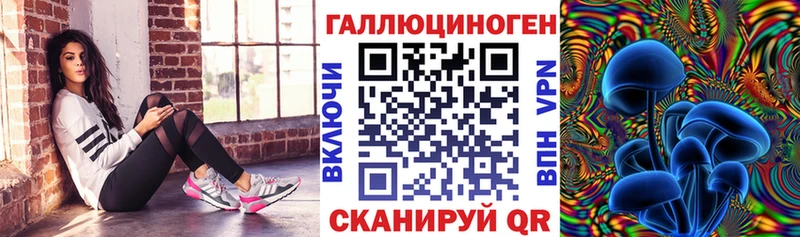 Галлюциногенные грибы Cubensis Сурск