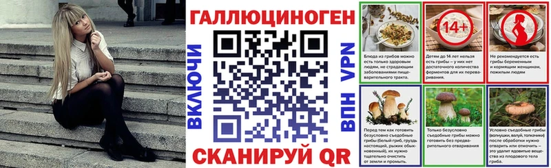 купить наркоту  Сурск  Псилоцибиновые грибы мицелий 